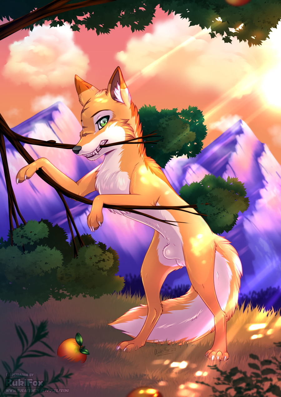 animal_genitalia balls canid canine dipstick_ears eye_scar facial_scar feral food fox fruit fully_sheathed fur genitals grape green_eyes hi_res male mammal mountain multicolored_ears on_hind_legs orange_body orange_fur plant rick_(rukifox) rukifox scar sheath sky sunset tree