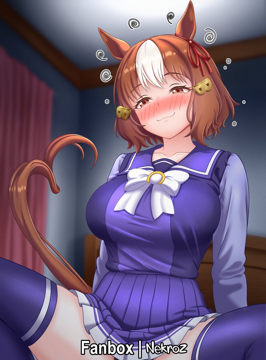Umamusume Rule 34 Image