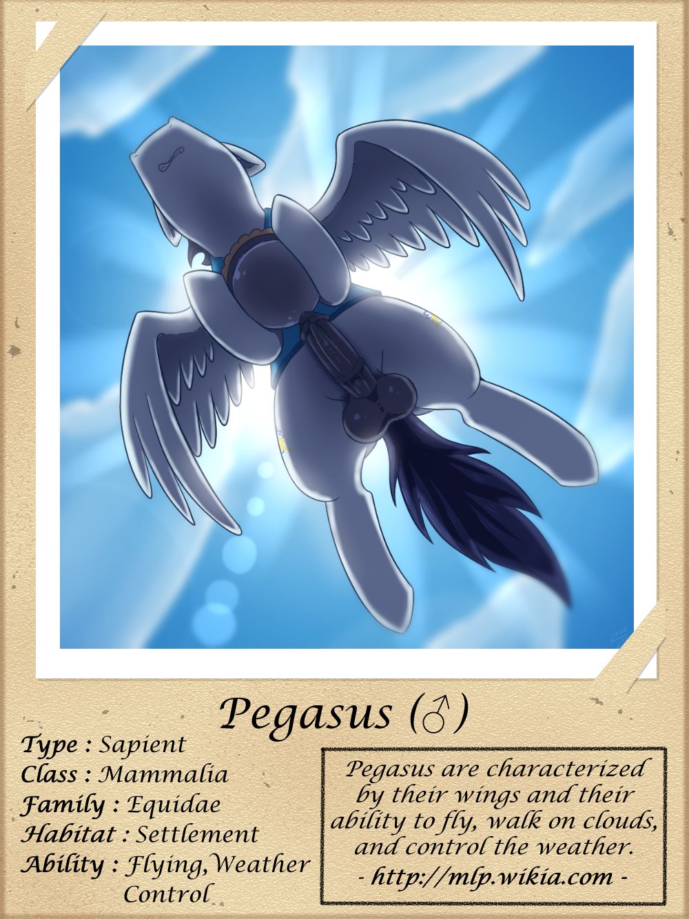 2019 animal_genitalia animal_penis balls dessert english_text equid equine equine_genitalia equine_penis erection feral flying food friendship_is_magic genitals hasbro hi_res holding_object lens_flare low-angle_view mammal medial_ring my_little_pony pegasus penis pie quadruped soarin_(mlp) solo text url vavacung wings wonderbolts_(mlp) worm's-eye_view