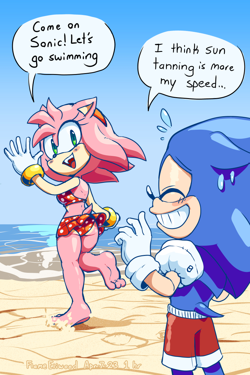 amy_rose bathing_suit beach dialogue female frosty_roy male ocean sonic_(series) sonic_the_hedgehog sonic_the_hedgehog_(series) speech_bubble swimming_trunks swimsuit swimwear