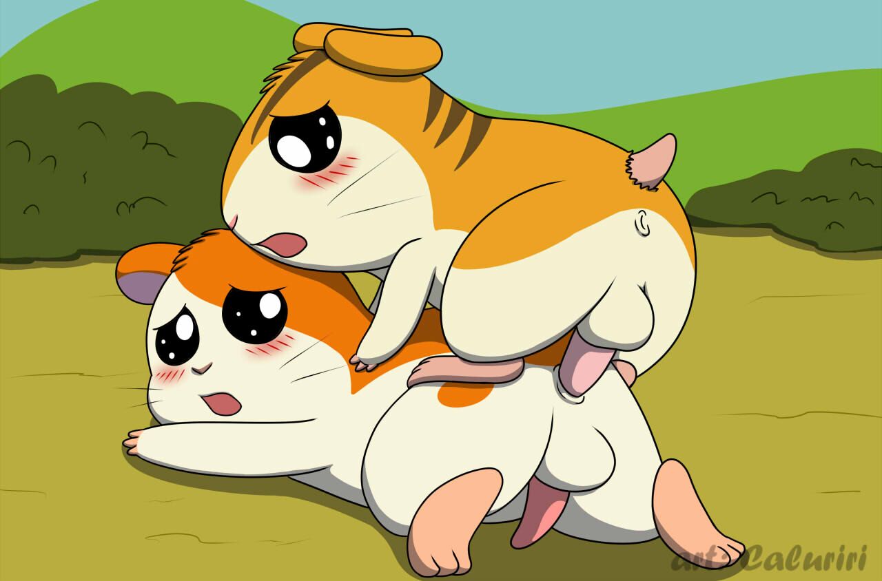 2019 anal anal_sex anus balls blush brown_body brown_fur caluriri cricetid duo feral feral_on_feral feral_penetrated feral_penetrating feral_penetrating_feral from_behind_position fur genitals hamster hamtaro hamtaro_(series) male male/male male_penetrated male_penetrating male_penetrating_male mammal orange_body orange_fur outside penetration penis rodent sex signature speed_bump_position stan_(hamtaro) tan_body tan_fur tapering_penis