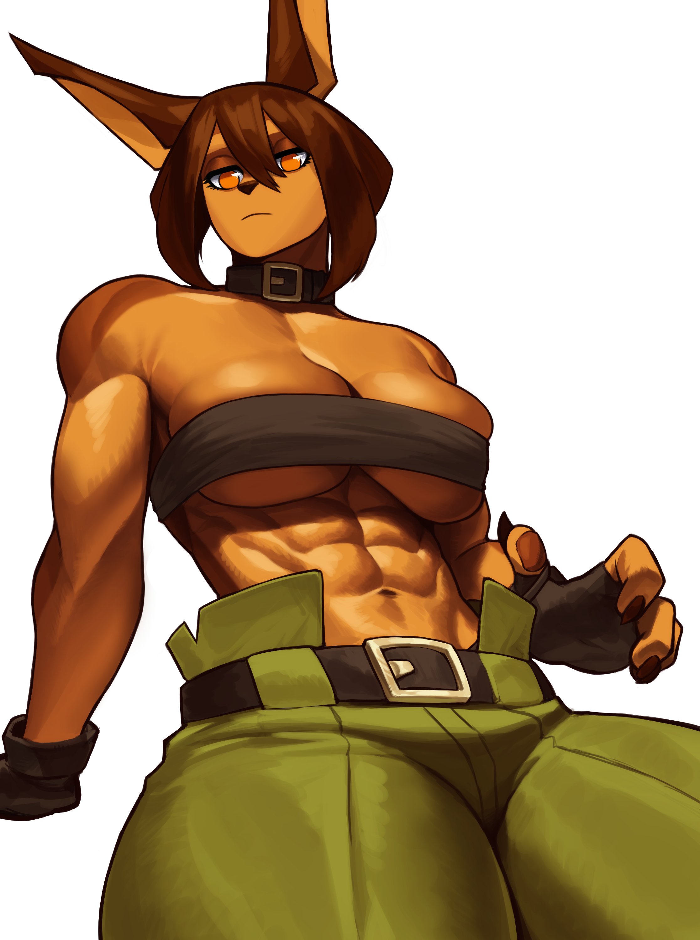 1girls, abs, anthro, breasts, brown hair, canine, collar, dog ears, dog knight rpg, domestic dog, female, female only, fingerless gloves, looking at viewer, muscular, muscular female, narrowed eyes, orange eyes, rory (ceehaz), solo, sotcho, topwear, unamused, very high resolution, white background