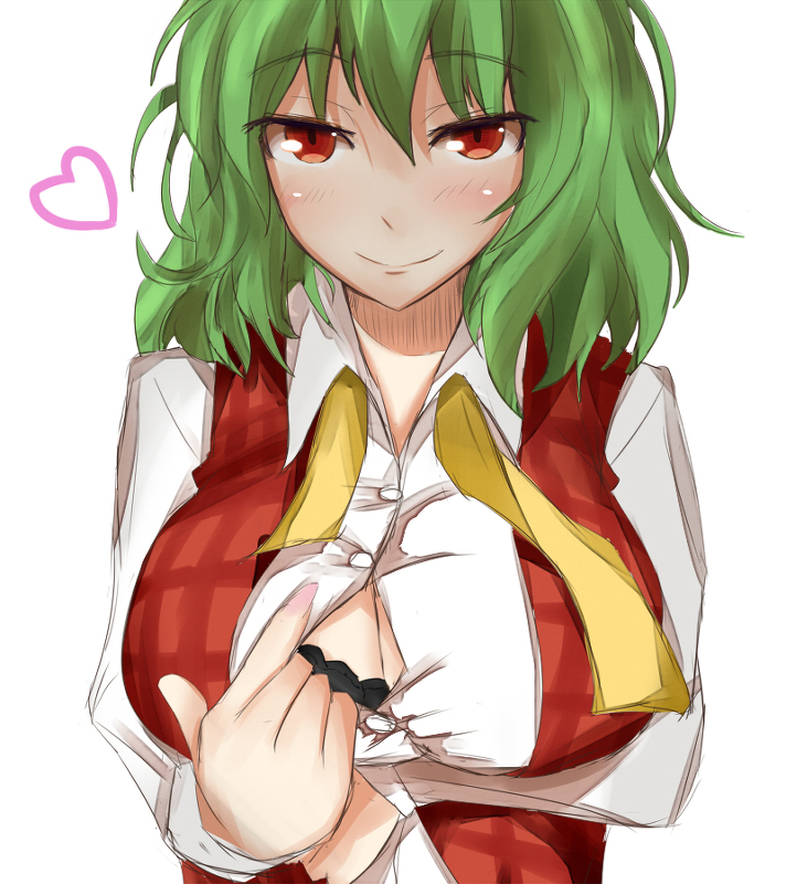 1girls big_breasts bra breasts cleavage green_hair heart kazami_yuuka lingerie naughty_face open_shirt paizuri_invitation poshi_(ginmokusei) red_eyes shirt solo touhou yuka_kazami