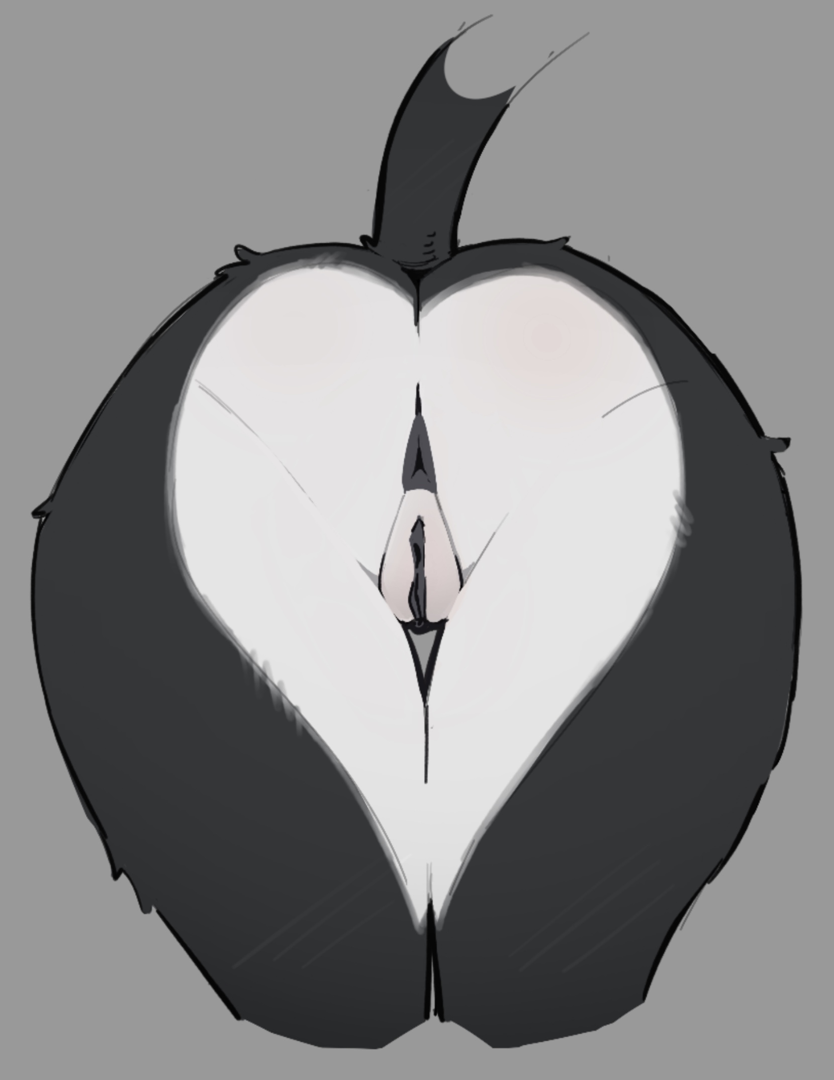 2026, anthro, anus, ass, ass focus, asshole, bacardi, bacardi (muart242), big ass, big butt, black body, black fur, black genitals, butt, catgirl, comfortable nude, ear piercing, felid, feline, furry, furry female, genitals, muart242, multicolored body, multicolored fur, presenting, presenting anus, presenting ass, presenting pussy, pussy, showing ass, showing off, showing pussy, showing vagina, solo female, tail, vagina, white body, white fur