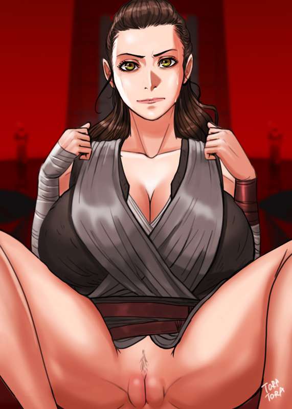 1girls big_breasts breasts clothed large_breasts rey tora_tora vagina