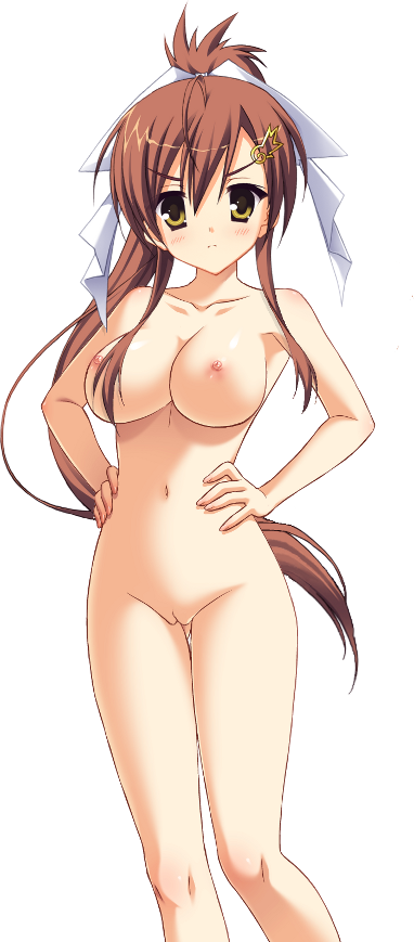 bb blush breasts large_breasts nude pussy simple_background tenshinranman yamabuki_aoi