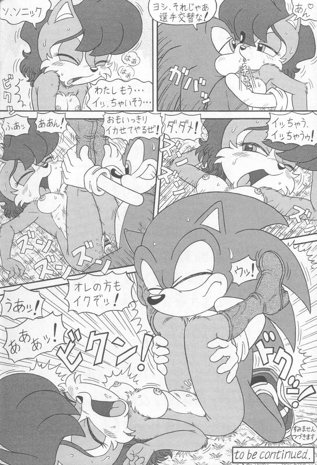 breasts female hedgehog karate_akabon male mammal penis pussy rodent sally_acorn sonic_(series) sonic_the_hedgehog squirrel straight