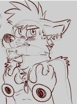 doge furry gay male thedoge28