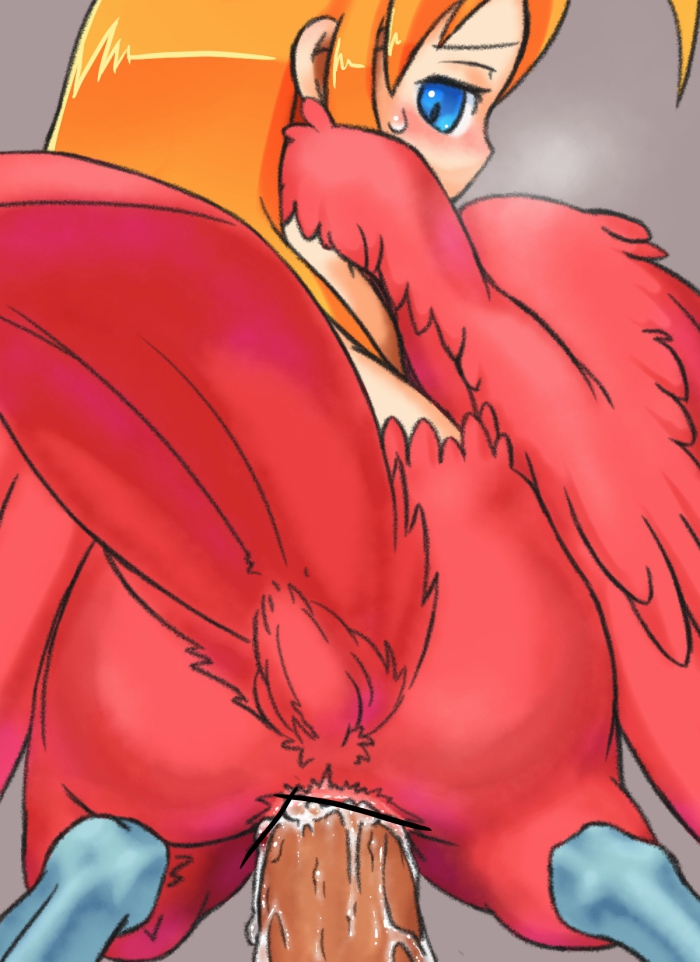 1boy akai_(ugokashitari) bar_censor bird_legs bird_tail blonde_hair blue_eyes blush censored cloaca cum cum_in_cloaca feathered_wings feathers female grey_background harpy harpy_(akai) long_hair monster_girl original penis pov red_feathers red_wings sex sex_from_behind simple_background straight sweatdrop tail winged_arms wings