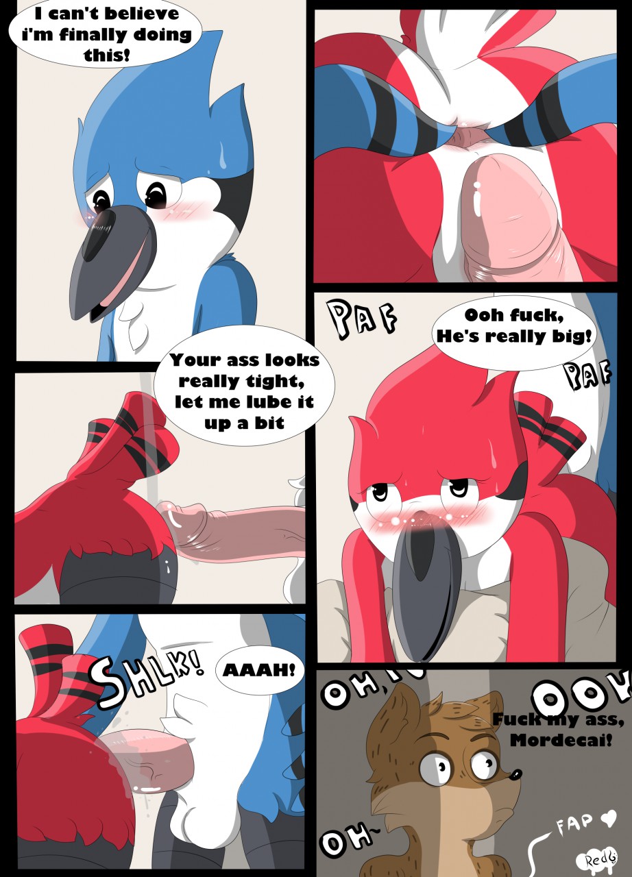 anal anal_sex anus avian balls being_watched bird blue_jay blush cartoon_network chest_tuft comic duo english_text erection feathers female fur half-closed_eyes heart humanoid_penis male mammal margaret_smith_(regular_show) mordecai_(regular_show) open_mouth penetration penis plain_background raccoon redfoxsoul regular_show rigby_(regular_show) robin_(bird) sex smile spread_anus spreading straight sweat text tongue tuft white_background