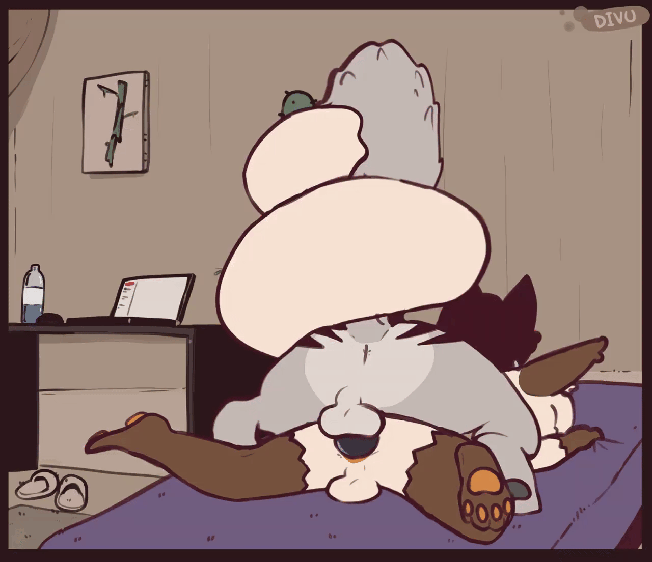 2boys, 2d, anal, anal penetration, anal sex, animated, anthro, anthro on anthro, anthro only, anthro penetrated, anthro penetrating, anthro penetrating anthro, anus, balls, bed, biped, brown body, brown fur, detailed background, divu (divucup), divucup, domestic cat, duo, entwined tails, erection, felid, feline, felis, fur, furniture, genitals, grey body, grey fur, loop, lying, male, male only, male penetrated, male penetrating, male penetrating male, male/male, mammal, multicolored body, multicolored fur, multiple boys, multiple males, on bed, on front, pawpads, penetration, penile, penile penetration, penis, rear view, sex, tail, tail coil, testicles, white body, white fur