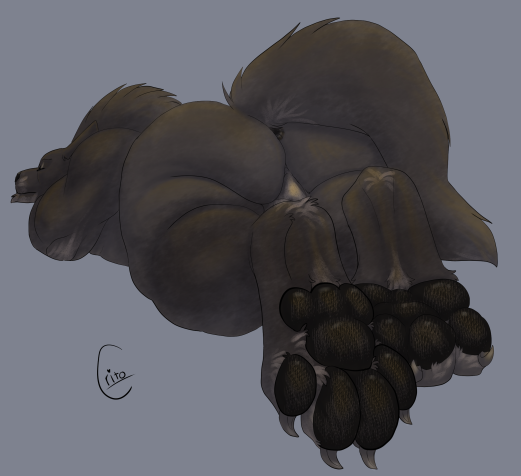 anthro anus ass big_feet brown_body brown_fur canid canine canis claws crito feet fluffy fur lying male mammal nude pawpads paws perineum raised_tail resting resting_on_belly simple_background sleeping solo squish tail were werecanid werecanine werewolf wolf