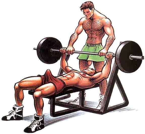 2boys bodybuilding erection erection_pushing_underwear erection_under_clothes fit gay gym gym_shorts hairy_chest hard_on homosexual lifting_weights male male_focus male_only muscles muscular muscular_male penis_hanging penis_hanging_down_clothes sean_platter shorts training working_out workout