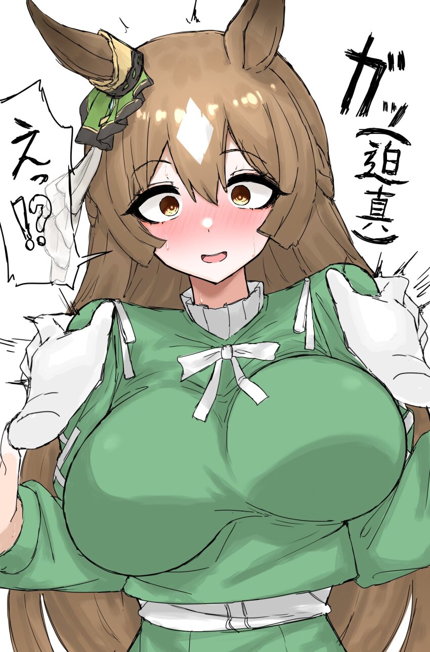 Satono Diamond (Umamusume) Rule 34 Image