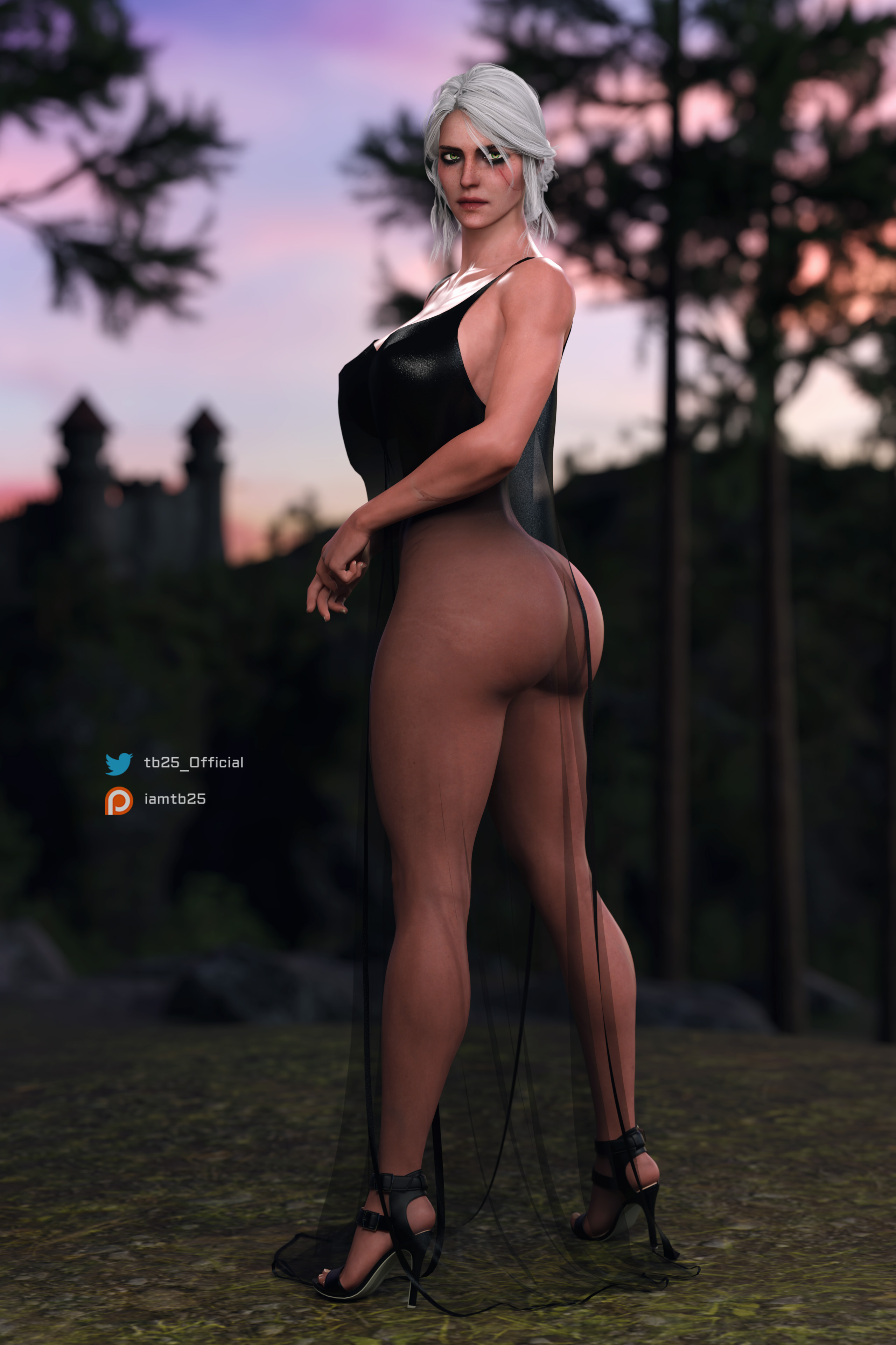 1girls, 3d, abs, areolae, armwear, ass, big ass, big breasts, breasts, ciri, female, female focus, female only, fit, fit female, green eyes, high heels, leggings, legwear, light skin, light-skinned female, muscular, muscular female, necklace, partially clothed, partially clothed female, scar, scar on face, tattoo, tb25, the witcher (series), the witcher 3: wild hunt, thick thighs, thighs, white body, white hair, white skin