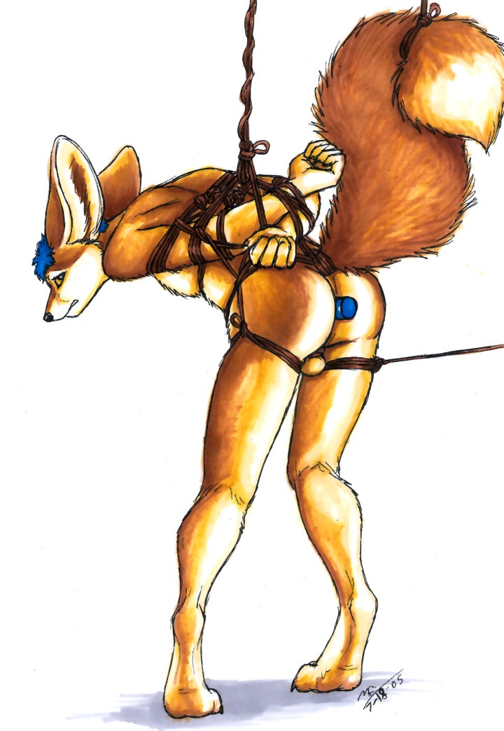 2005 anal anal_penetration anthro arms_behind_back arms_bound arms_tied_behind_back backsack bent_over big_ears blue_hair bondage bound bound_tail canid canine dildo fennec fennec_fox fox furry male male_focus male_only moodyferret restrained rope rope_bondage sex_toy sex_toy_in_ass sex_toy_insertion sex_toy_penetration solo solo_male tail testicles vulpine