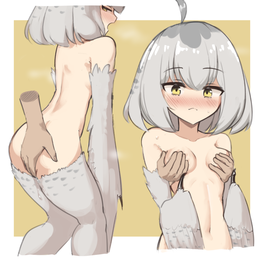 ahoge ass_grab bird_legs blush breasts disembodied_limb feathered_wings female grey_feathers grey_hair grey_wings groping hair_between_eyes harpy medium_hair mono_(sifserf) monster_girl multiple_views navel nude open_mouth original owl_girl pussy_juice sifserf small_breasts tummy winged_arms wings yellow_eyes