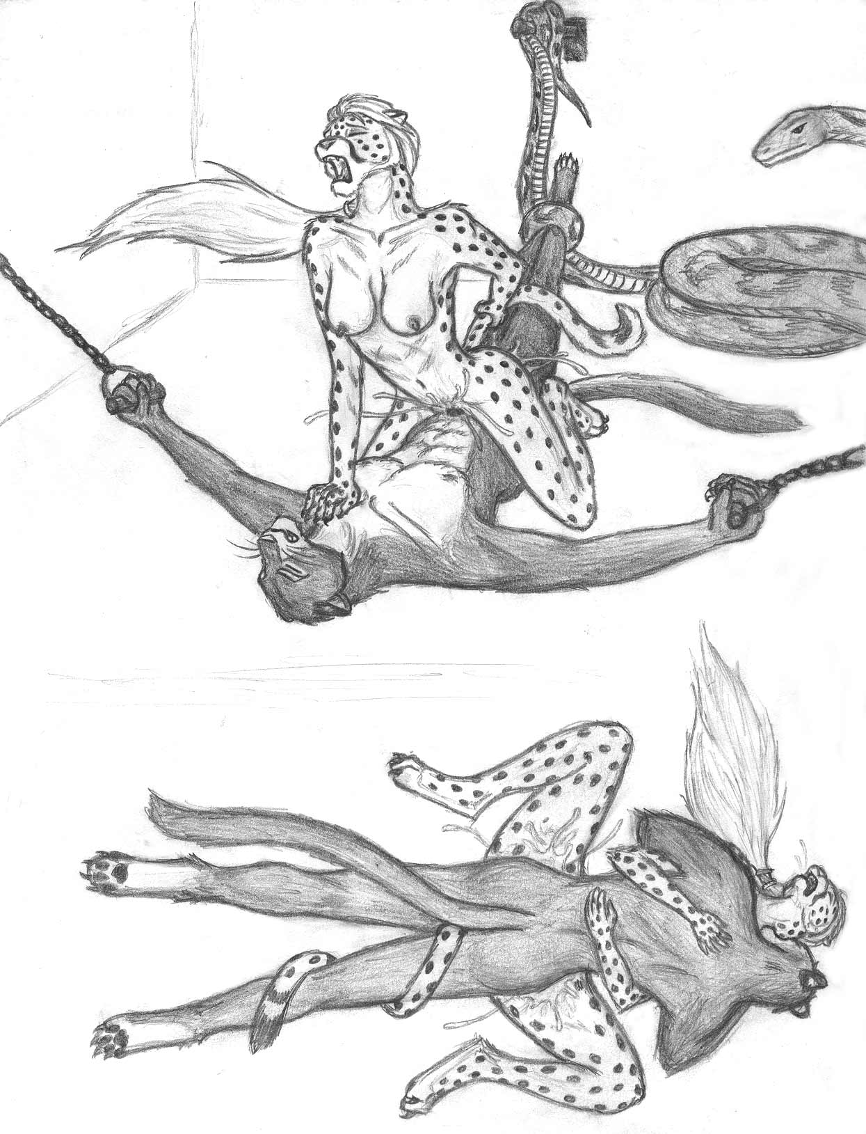 anthro bagheera_(artist) breasts cum cum_inside feline female furry hair male missionary_position monochrome reptile scalie sketch snake spread_legs spreading straight