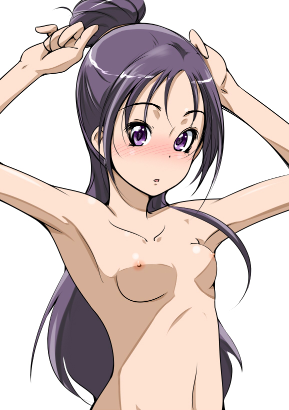 beeko blush breasts flat_chest futari_wa_precure_splash_star hair_bun long_hair looking_at_viewer mishou_mai navel nipples nude precure pretty_cure purple_eyes purple_hair simple_background white_background