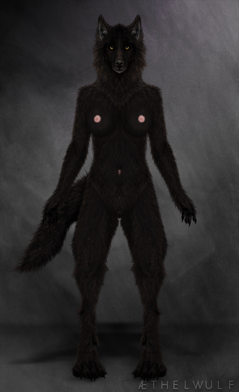 aethelwulf anthro artist_name black_body black_fur breasts brown_body brown_fur canid canine canis digitigrade female full-length_portrait fur genitals girly hi_res humanoid mammal nipples nude portrait pussy slim solo source_removed wolf ylva