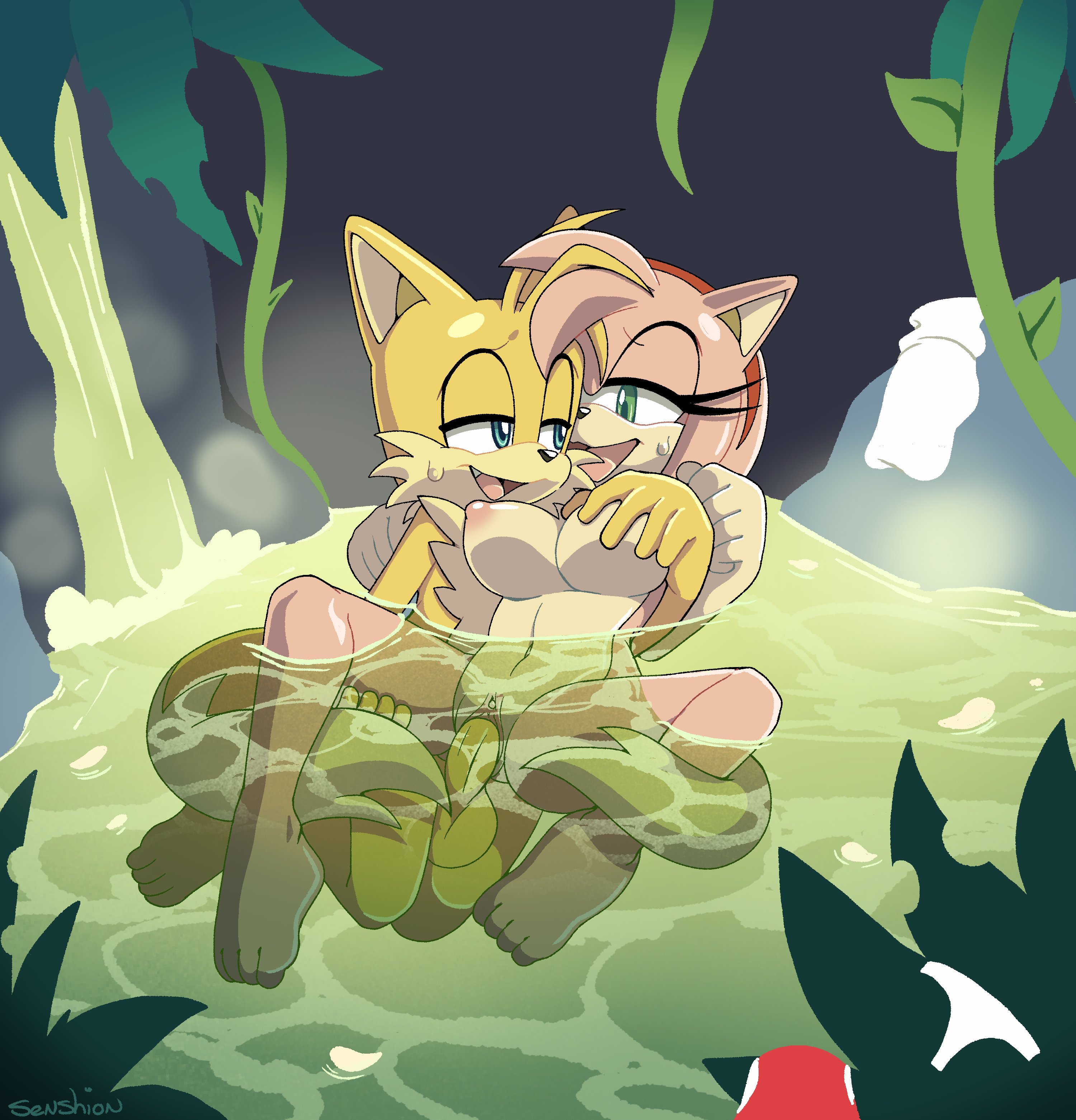 age difference, amy rose, anthro, balls, barefoot, breasts, erection, female, furry, groping breasts, hot spring, male, male/female, miles prower, mixed bathing, nude, older female, penis, pussy, sega, senshion, sex, sonic (series), sonic the hedgehog (series), steam, straight, tagme, tails, tails the fox, vaginal penetration, water, younger male
