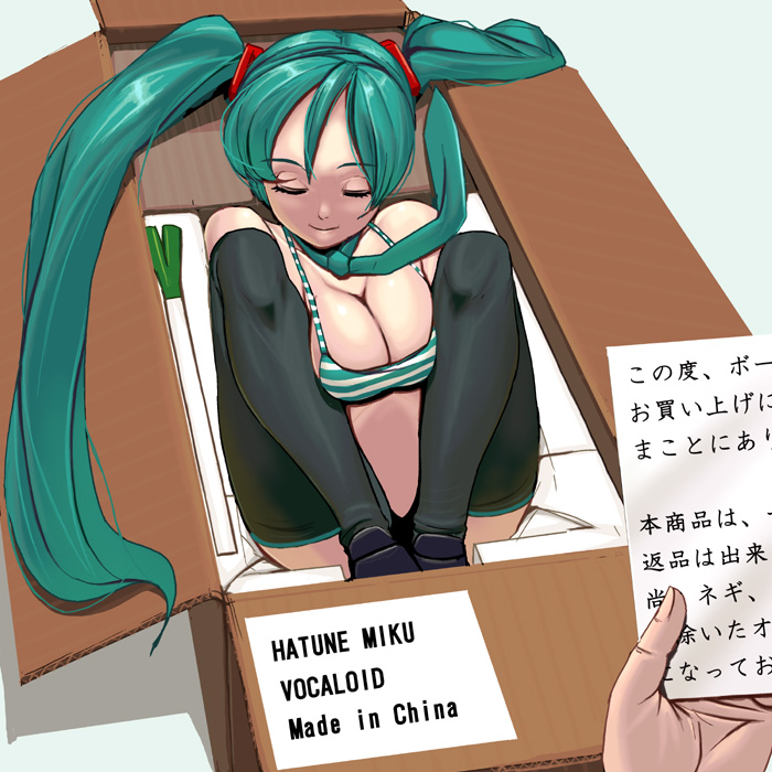 breasts cardboard_box cleavage girl_in_a_box hatsune_miku in_box in_container masao oppai spring_onion text thighhighs tied_hair translated translation_request twintails vocaloid