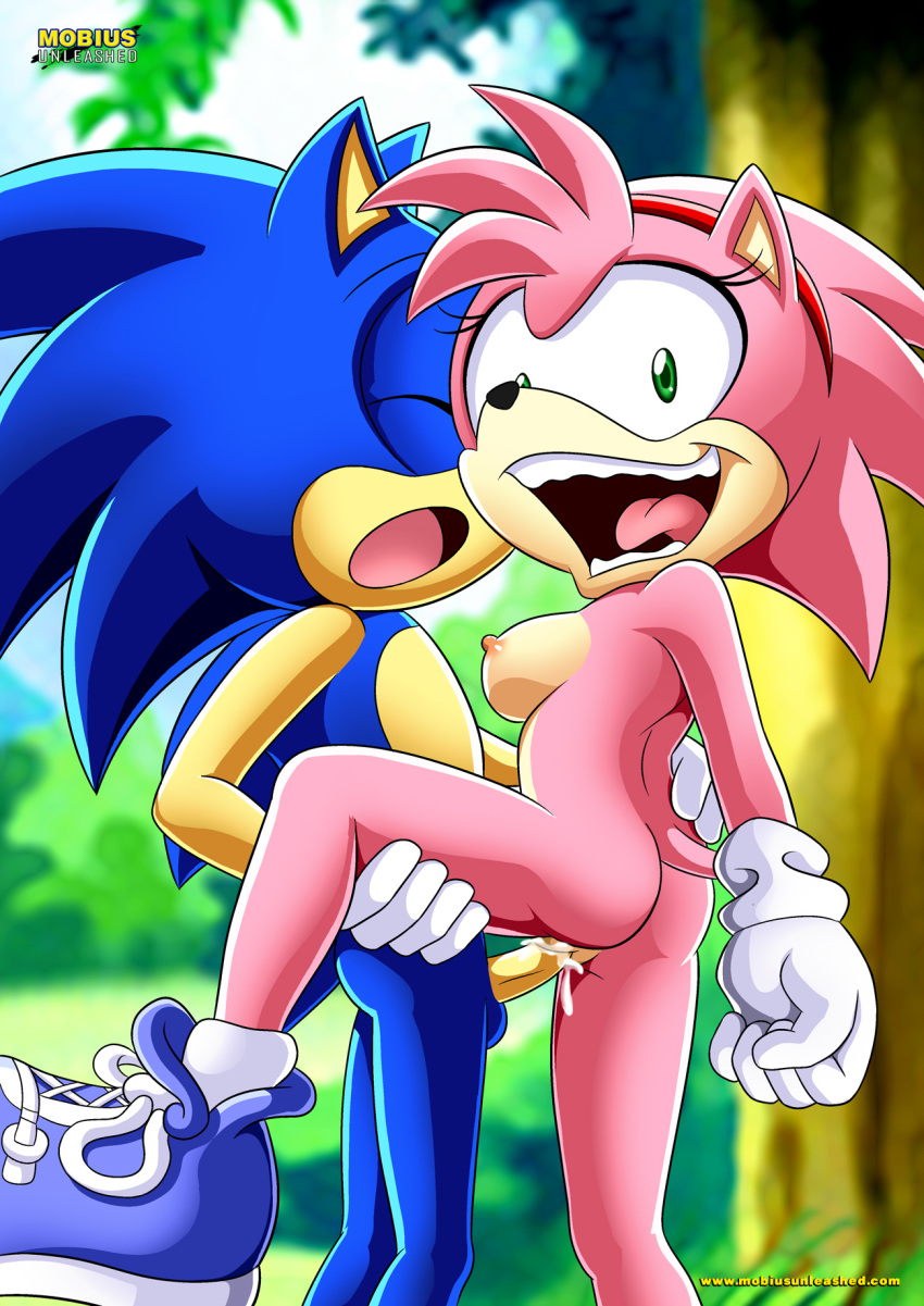 1boy 1girls amy_rose bbmbbf cum cum_in_pussy cum_inside female mobius_unleashed palcomix penile_penetration penis penis_in_pussy rosy_the_rascal_(archie) sega semen sonic_(series) sonic_the_hedgehog sonic_the_hedgehog_(series) straight vaginal_penetration