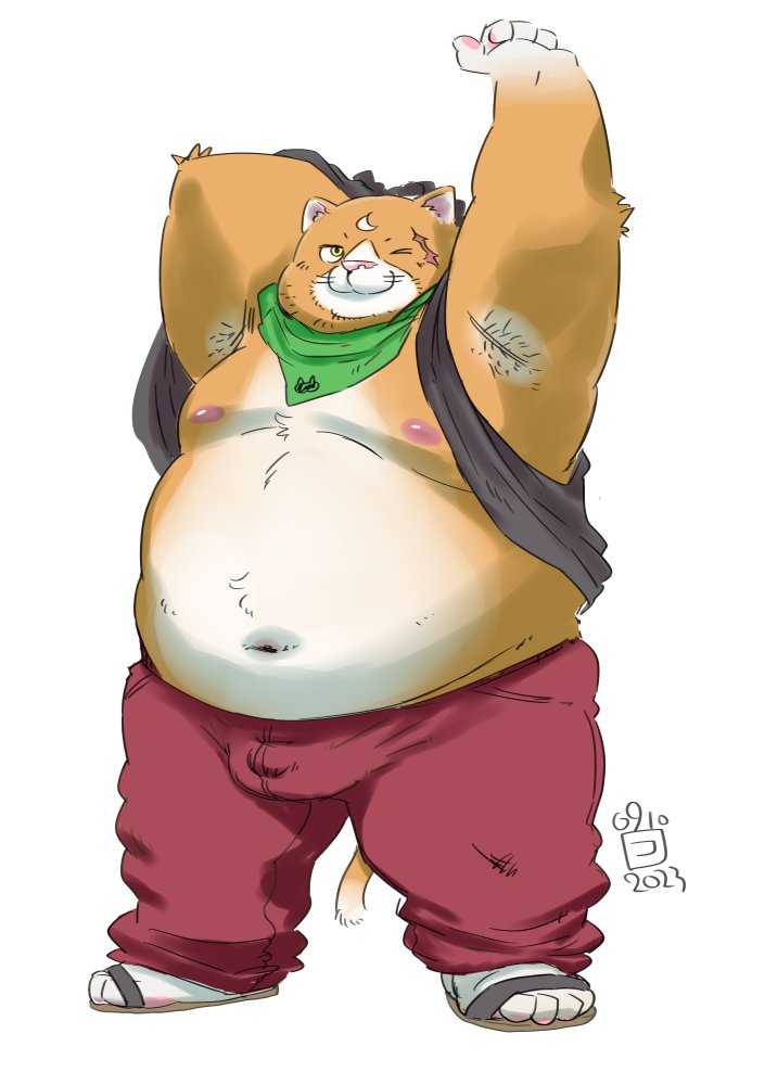 2023 anthro belly big_belly bottomwear bulge clothing conoji domestic_cat felid feline felis footwear kemono male mammal moobs navel nipples overweight overweight_male pants sandals scar solo stretching totemoii_029