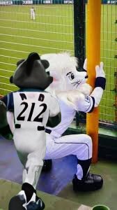 brisky_the_bear gay leo saitama_seibu_lions tagme