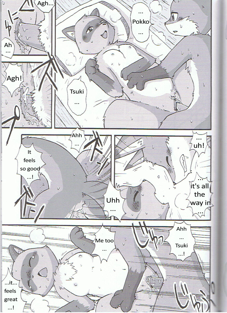 balls bed breasts breath canine comic decensored dialog erection fangs fast_and_furryious fox manga mikazuki_karasu nude open_mouth penetration penis pokko precum pussy raccoon scan text translated tsuki winter