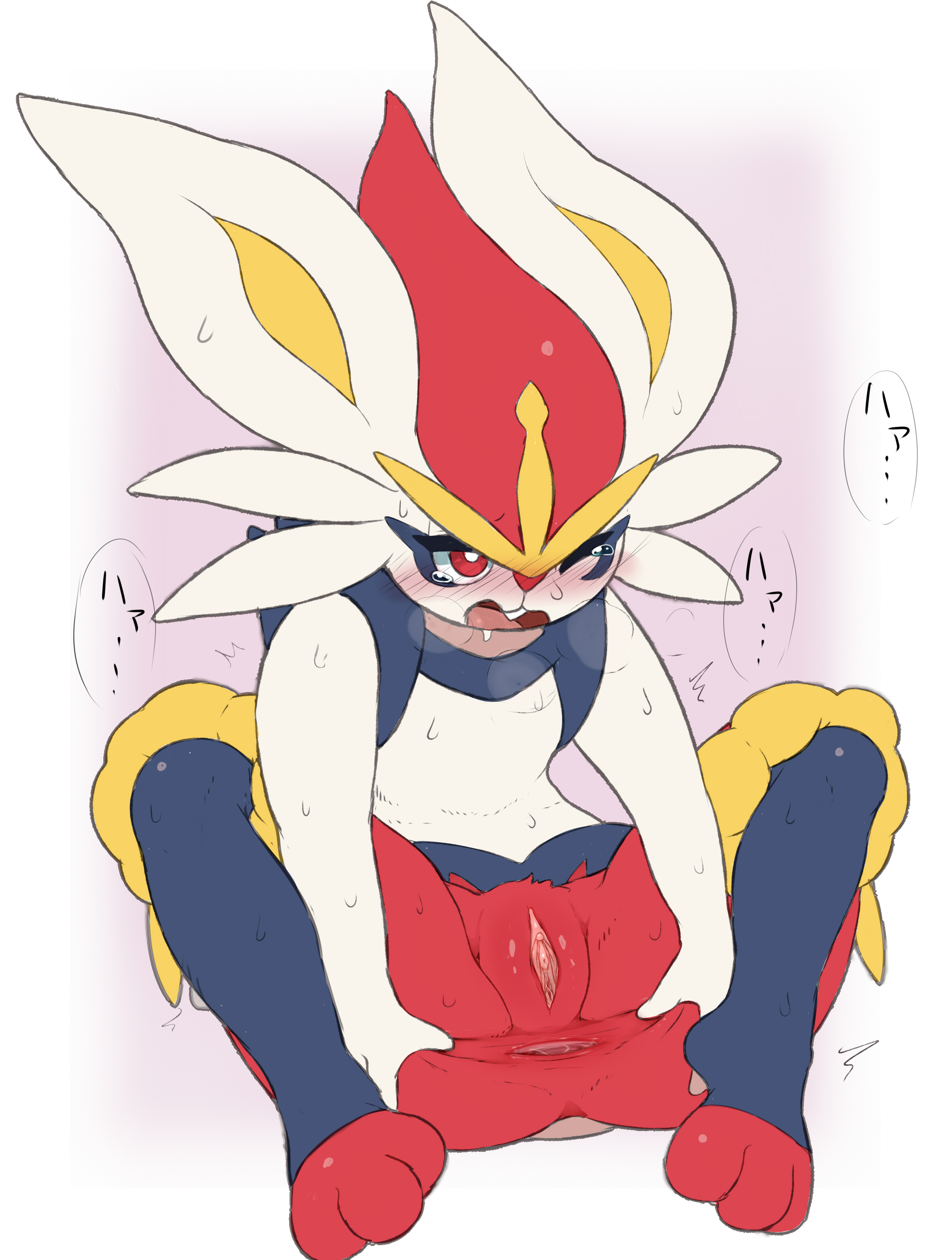 absurd res, anthro, anus, ass, blush, bodily fluids, cinderace, cute, cute face, female, female cinderace, female only, generation 8 pokemon, genitals, hi res, japanese text, kimubota, looking at viewer, nintendo, one eye closed, open mouth, pokemon, pokemon (species), pussy, red body, red eyes, solo, solo female, spread anus, spread ass, spread butt, spread legs, spreading, stretched anus, sweat, tears, text, thick thighs, vagina, white body