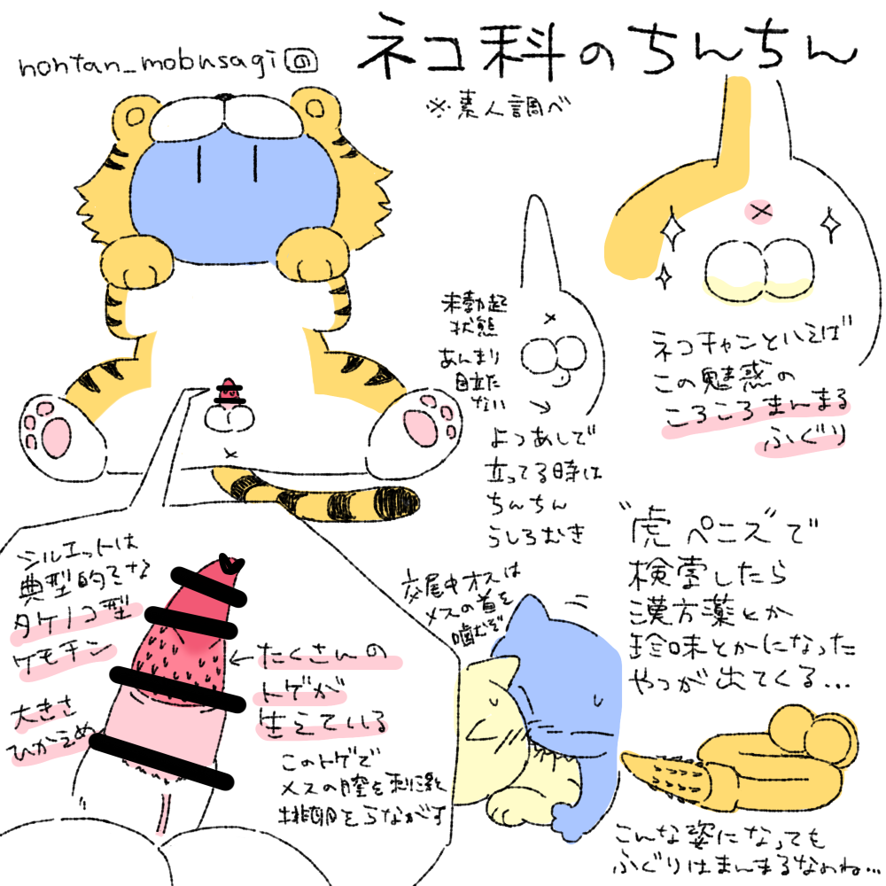 animal_genitalia animal_penis anus balls censored felid feline_genitalia feline_penis feral genitals how-to japanese_text male mammal nontan_mobusagi pantherine penile_spines penis small_penis solo text tiger translation_request x_anus