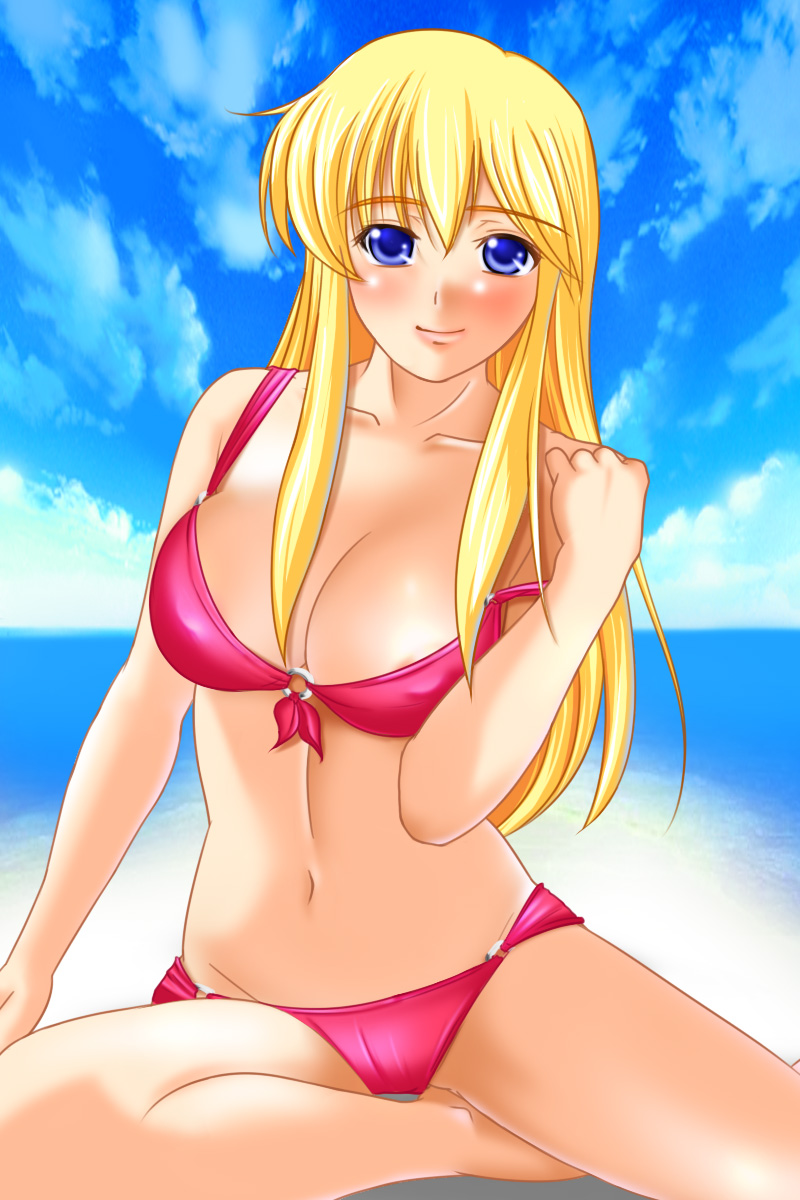 1girls alternate_costume beach bikini blonde_hair blue_eyes cherry_numan cleavage female female_only fire_emblem fire_emblem:_genealogy_of_the_holy_war lachesis_(fire_emblem) large_breasts long_hair looking_at_viewer nintendo o-ring o-ring_bikini ocean outdoors pink_bikini pink_swimsuit sitting smile solo swimsuit water