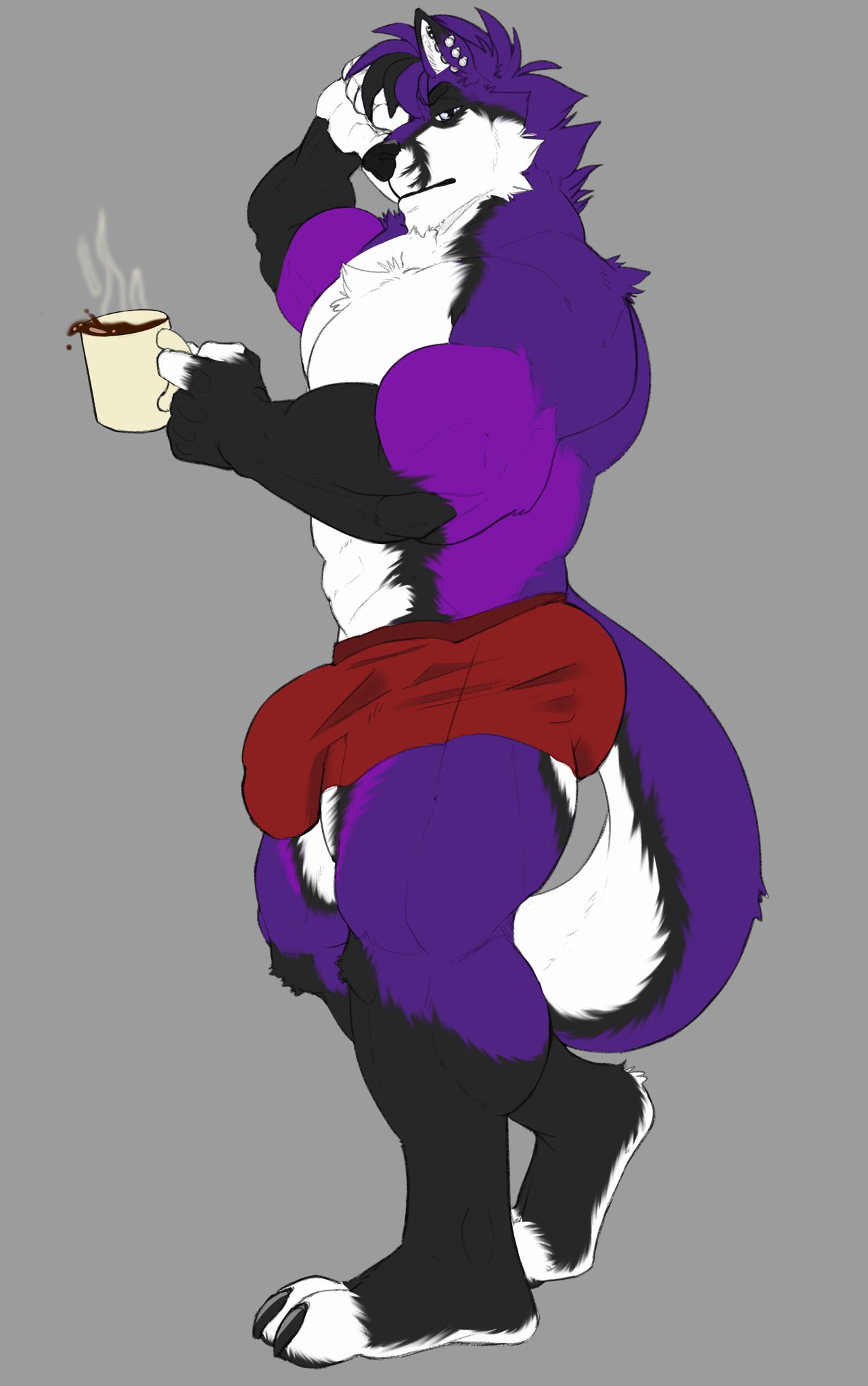 abs anthro biceps black_body black_fur bulge canid canine canis clothed clothing coffee coffee_mug deltoids ear_piercing ear_stud fingerless_(marking) fingerless_gloves_(marking) fox fur gloves_(marking) grey_background hair hi_res holding_coffee_mug hybrid kyojufolf leg_markings male mammal markings multicolored_body multicolored_fur muscular_thighs pecs piercing purple_body purple_eyes purple_fur purple_hair red_clothing red_underwear shyloc simple_background socks_(marking) solo tow_claws underwear underwear_only white_body white_fur wolf