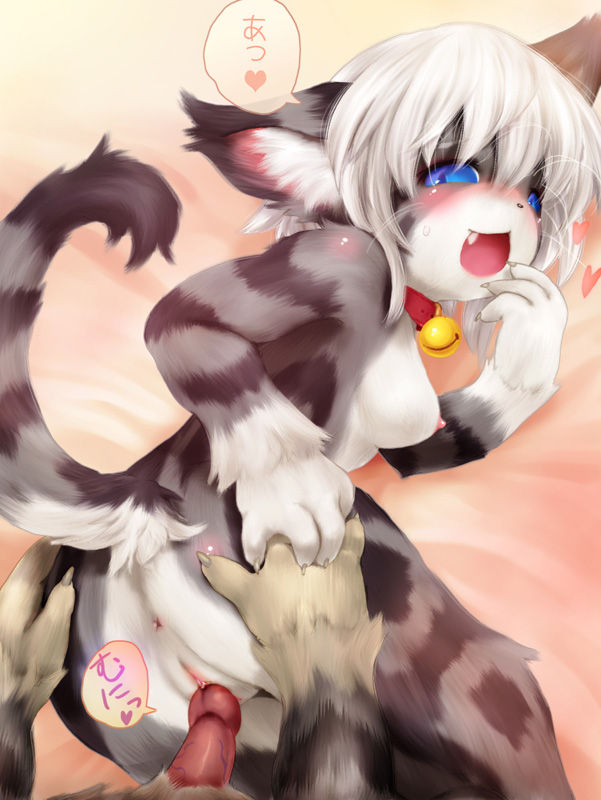 anus ass bed bell bell_collar blue_eyes blush breasts claws collar feline furry heart nipples open_mouth penis pussy sex short_hair sideboob tail tashiro_yuu vaginal_penetration white_hair