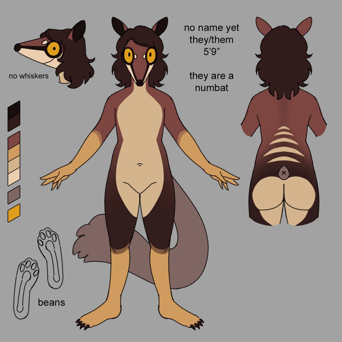 2023 a-pose ambiguous_gender anthro areola ass balls breasts claws dasyuromorph featureless_chest featureless_crotch flat_chested genitals grey_background hadmyway hadmyway_(fursona) hair long_hair looking_at_viewer mammal marsupial model_sheet multicolored_body navel nonbinary_(lore) numbat pawpads paws pose simple_background solo standing yellow_sclera