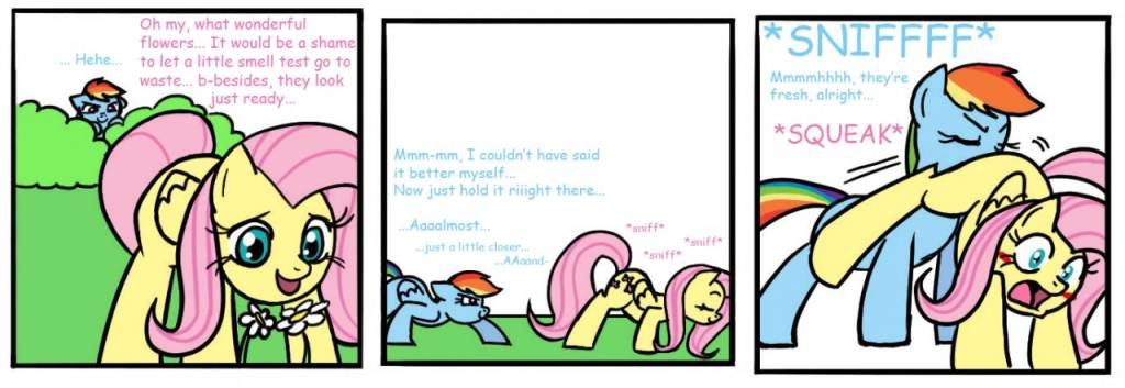 comic equine female flower fluttershy_(mlp) forced friendship_is_magic grope hair horse my_little_pony nude pegasus pink_hair pony rainbow_dash_(mlp) rainbow_hair sniffing squeak straight_hair yuri