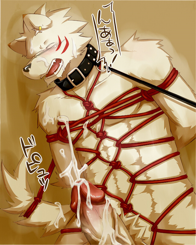 anthro blush bondage canine censored collar cum fur furry leash male male_only nude penis piercing rope silverio solo wolf