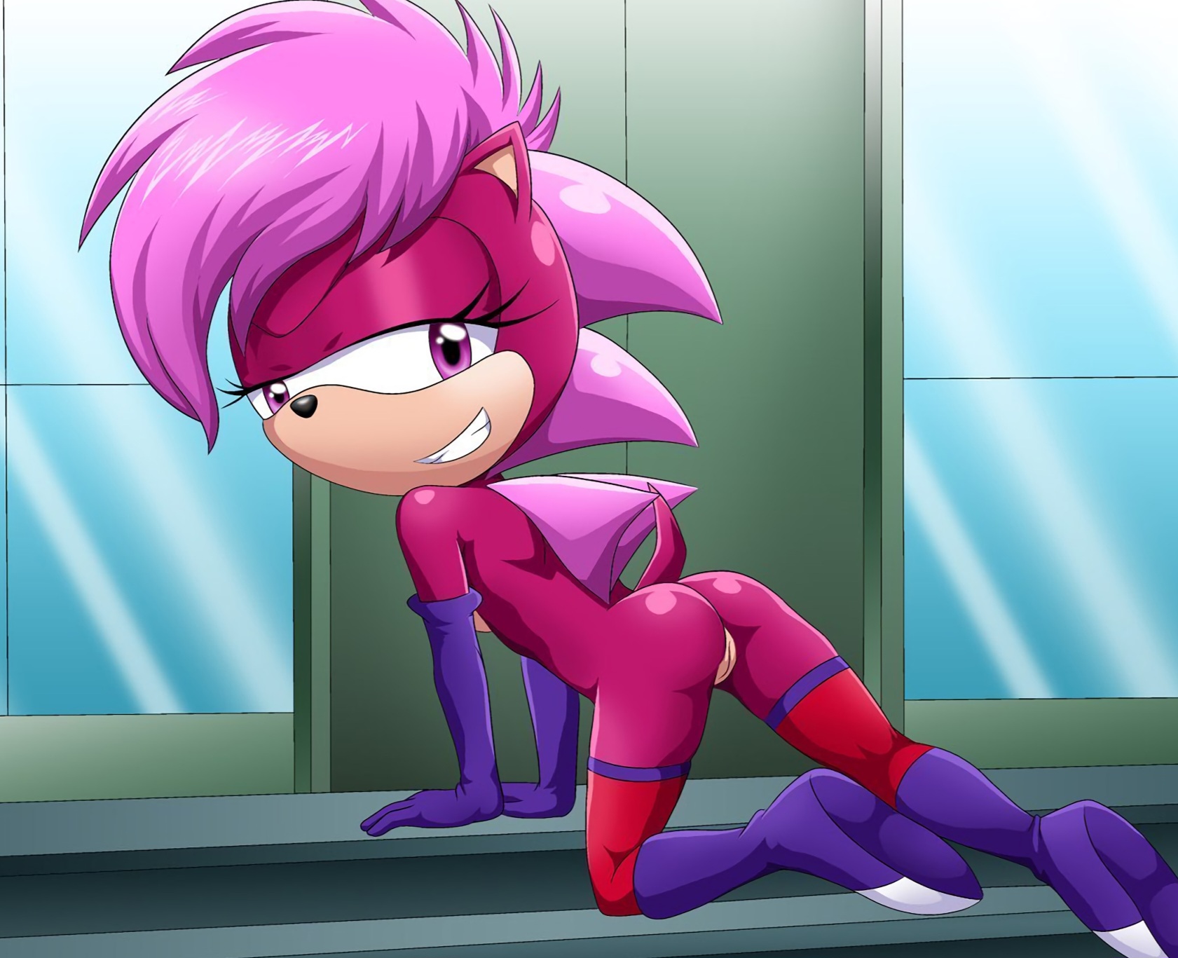 Sonic The Hedgehog Henti