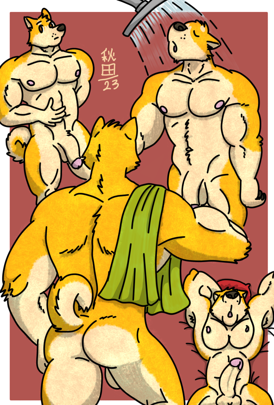 akita akita_inu anthro balls biceps canid canine canis casual_nudity domestic_dog fur genitals habuwolfdog hi_res humanoid_genitalia humanoid_hands humanoid_penis male male_only mammal manly muscular muscular_anthro muscular_male navel nipples nude penis spitz