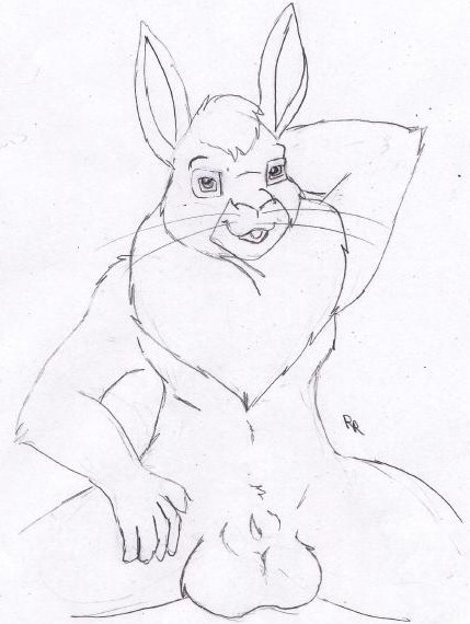 anthro anthrofied balls bigwig front_view male male_only monochrome nude rabbit rascalraccoon sitting solo tagme watership_down