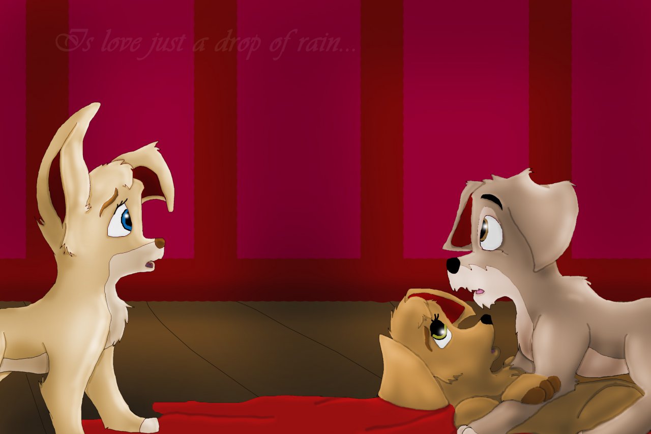 angel_(lady_and_the_tramp) canine disney dog female feral fur lady_and_the_tramp male mammal scamp tagme