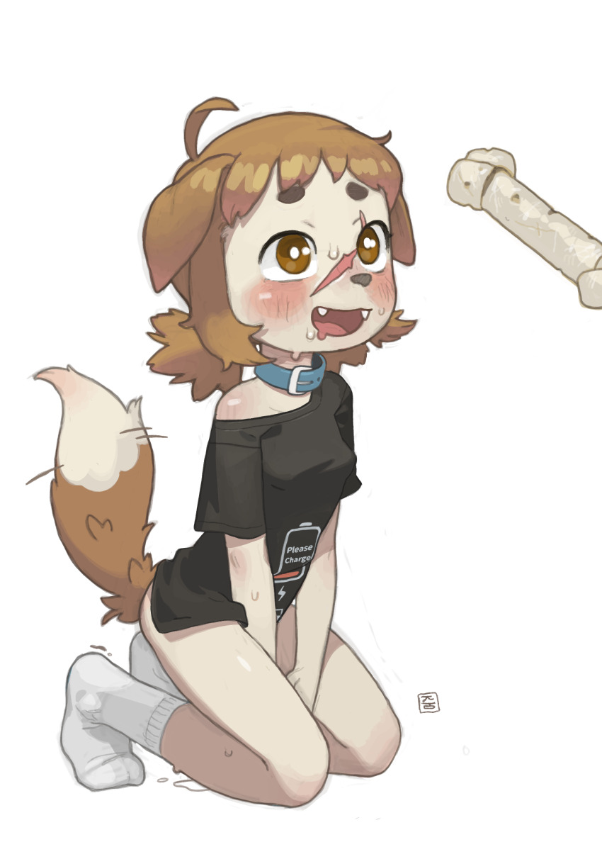 2d animal_ears black_shirt blue_collar blush bottomless brown_eyes brown_fur brown_hair brown_tail collar dog_bone dog_ears dog_girl dog_tail dog_treat dripping dripping_pussy drooling exposed_shoulders logo_on_clothes no_panties on_knees possummachine scar scar_on_face shepherdy_(possummachine) shirt short_hair socks sweat tagme tail wagging_tail white_background white_socks