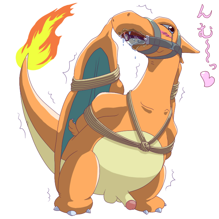 blush bound charizard color feral fire male male_only nintendo nude penis pokemon pokemon_(species) solo tagme tail tail_fire testicles