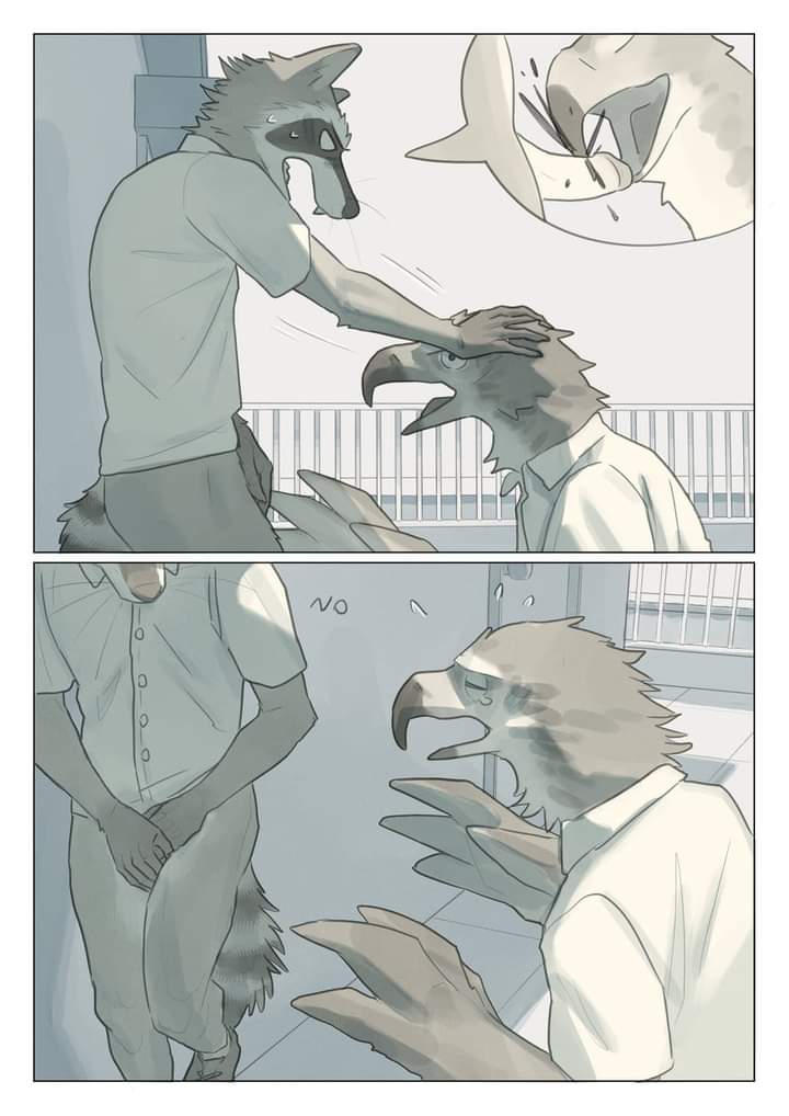 anthro avian balls beak bird canid canine clothed clothing comic cover digital_media_(artwork) duo english_text feathers fur genitals male male/male mammal nude open_mouth penis pngx_(artist) procyonid raccoon realization rejection simple_background tail text thought_bubble wings