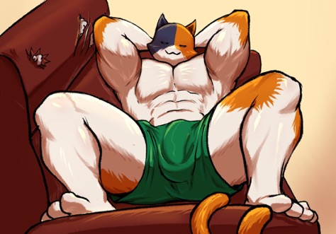 armpits, arms behind head, biceps, big bulge, big penis, bulge, bulge through clothing, couch, feline, fortnite, fortnite: battle royale, fur, furry, gay, laying down, laying on couch, legs apart, male only, meowscles, meowscles (fortnite), muscular, muscular male, pecs, scratches, shirtless, shorts, simple background, six pack, sleeping