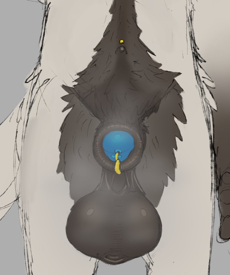 animal_genitalia animal_penis anthro avian balls big_balls big_penis big_sheath bird blue_penis body_hair bovid brown_balls brown_body brown_fur brown_sheath canid canine canis caprine digitigrade domestic_dog drained_ibexxx equine_genitalia equine_penis falcon falconid flaccid fully_sheathed fur furgonomics furry-specific_piercing genital_piercing genitals goat gold_(metal) gold_piercing hairy happy_trail hybrid male mammal musk musk_clouds musk_fetish musky_balls musky_penis navel navel_piercing penis penis_piercing piercing pubes saggy_balls sheath sheath_piercing smelly smelly_penis solo tan_body tan_fur