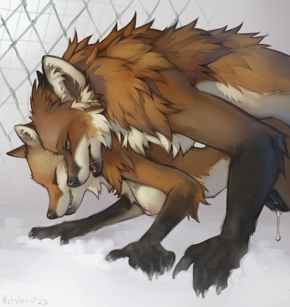 all_fours anthro anthro_on_anthro black_nose bodily_fluids breasts canid canine chain-link_fence closed_eyes duo female fence fox fur genital_fluids gloves_(marking) hioshiru male male/female male_anthro mammal markings nipples nude orange_body orange_fur original_characters snow whiskers