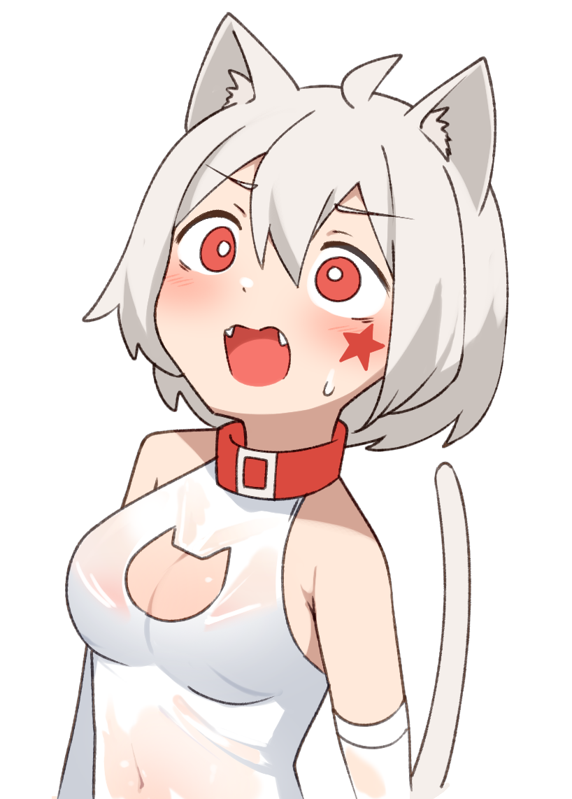 animal_ears blush cat_ears cat_tail catgirl collar daebom fangs flushed kemonomimi leotard m18_hellcat medium_breasts nekomimi open_mouth patreon red_collar red_eyes short_hair tagme tail war_thunder wet_clothes white_hair white_leotard worried