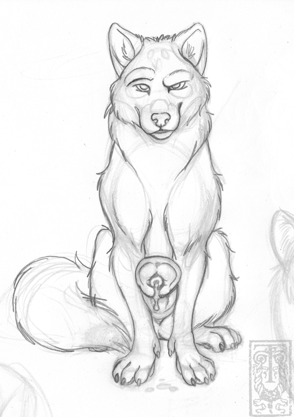 canine erection guiness_the_horsecocked_wolf horsecock male male_only penis precum sketch tyelle_niko wolf